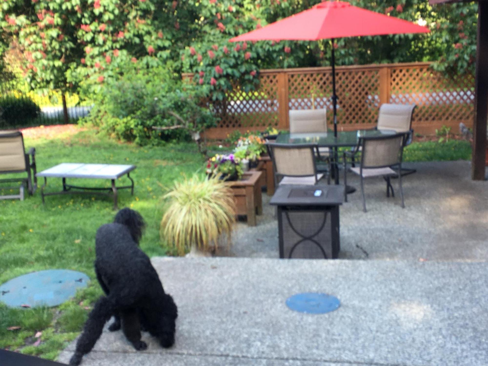Coles Bay Vacation Retreat Villa North Saanich Exteriör bild